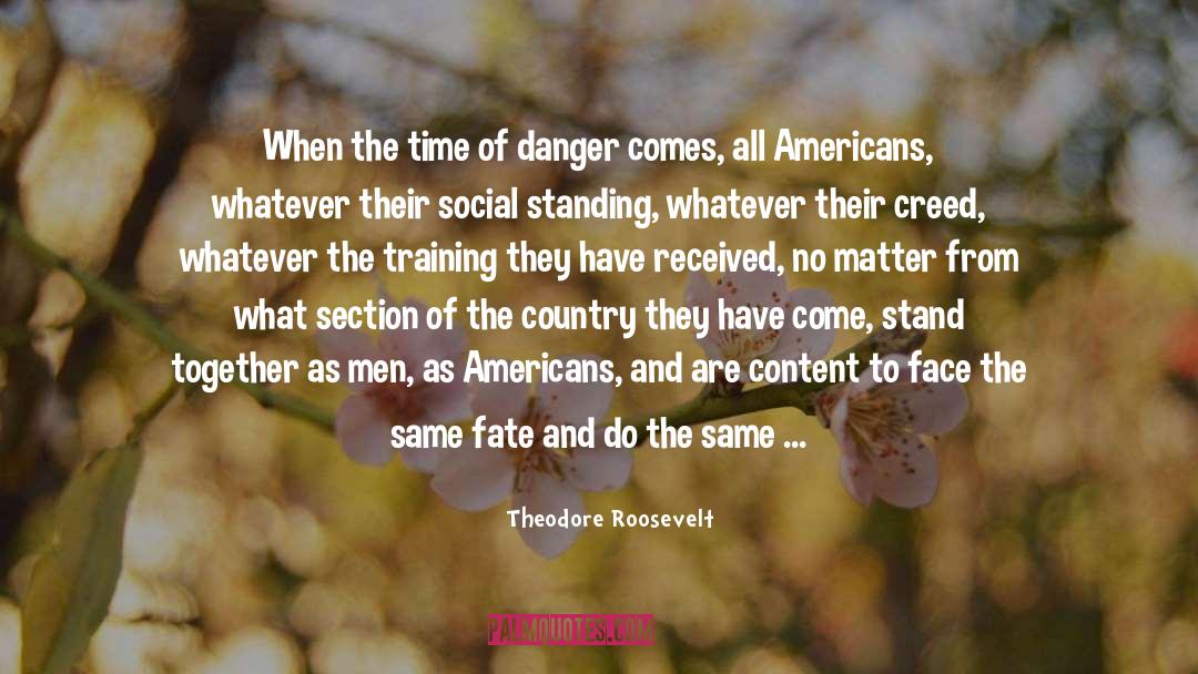 Creed quotes by Theodore Roosevelt