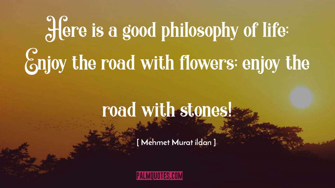 Cregar Road quotes by Mehmet Murat Ildan