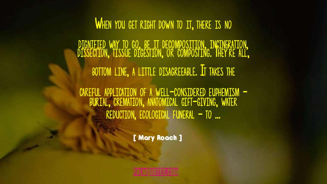 Cremation quotes by Mary Roach