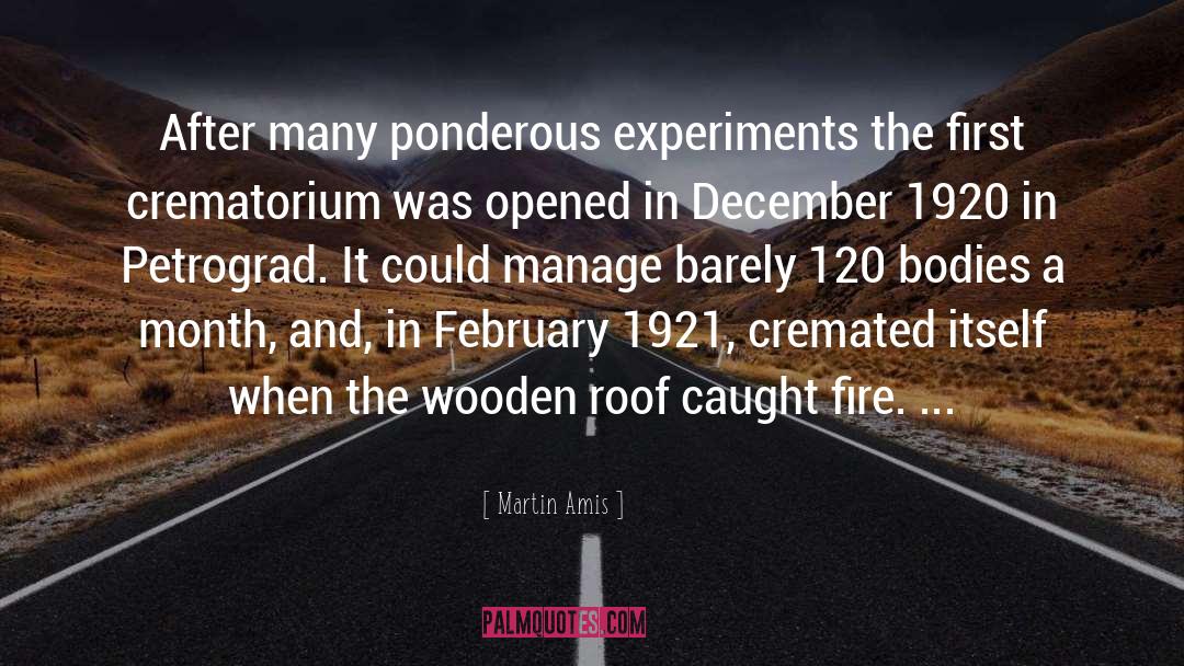 Crematorium quotes by Martin Amis