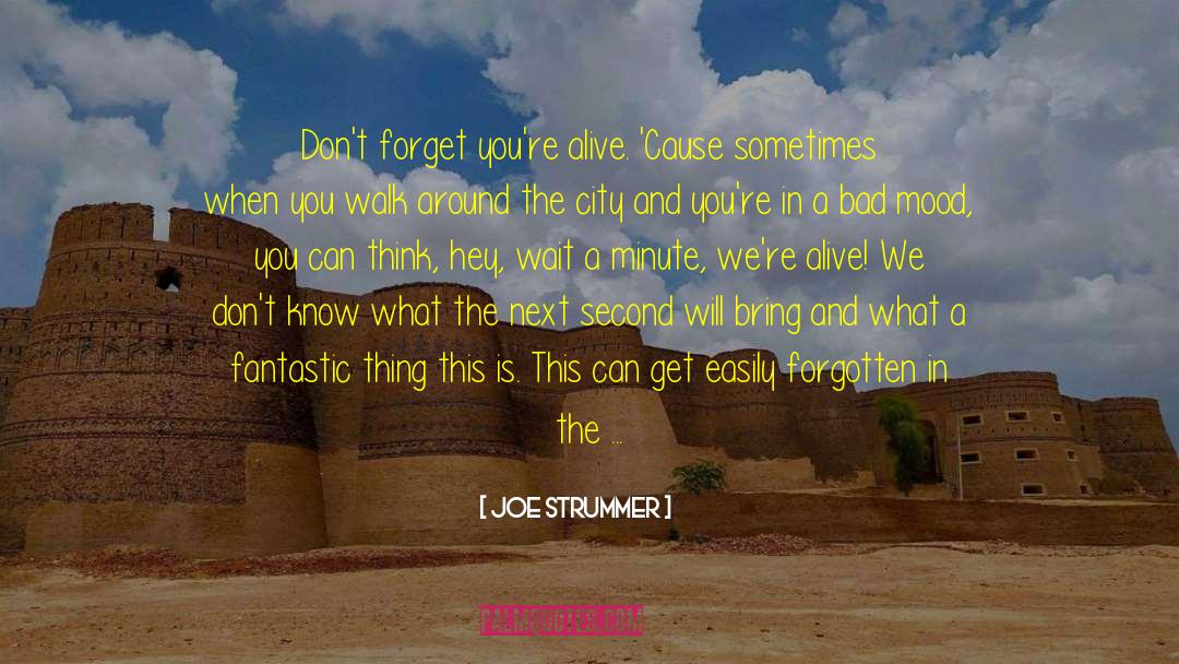 Crescent City quotes by Joe Strummer