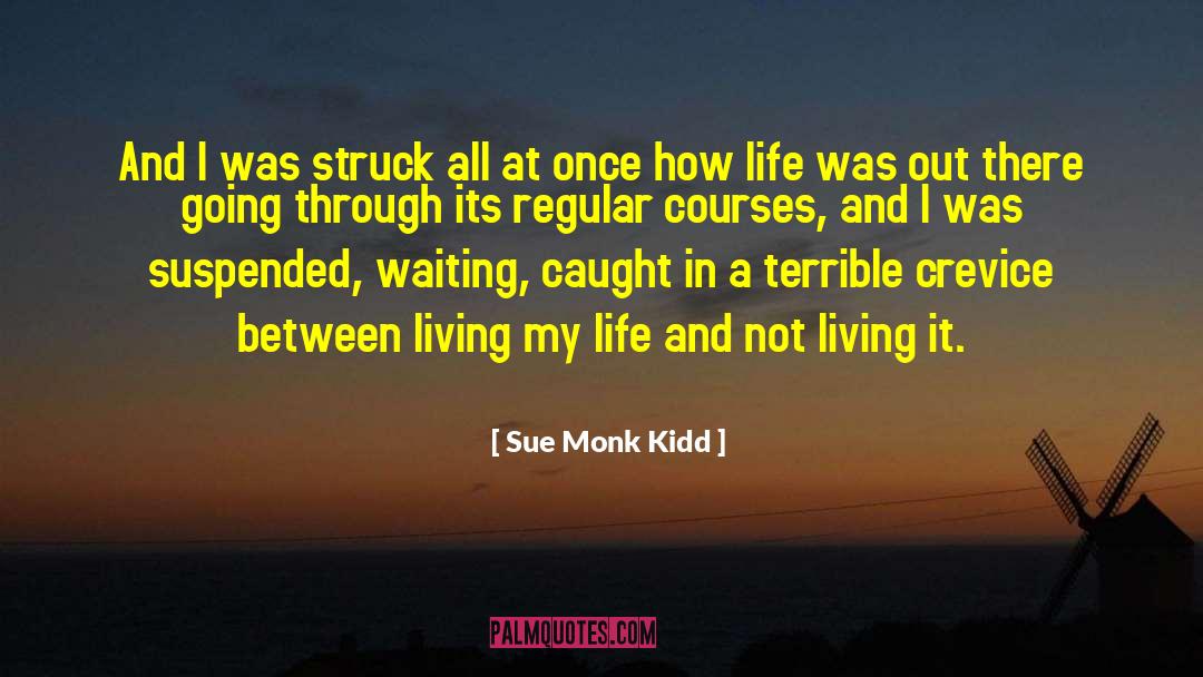 Crevice quotes by Sue Monk Kidd