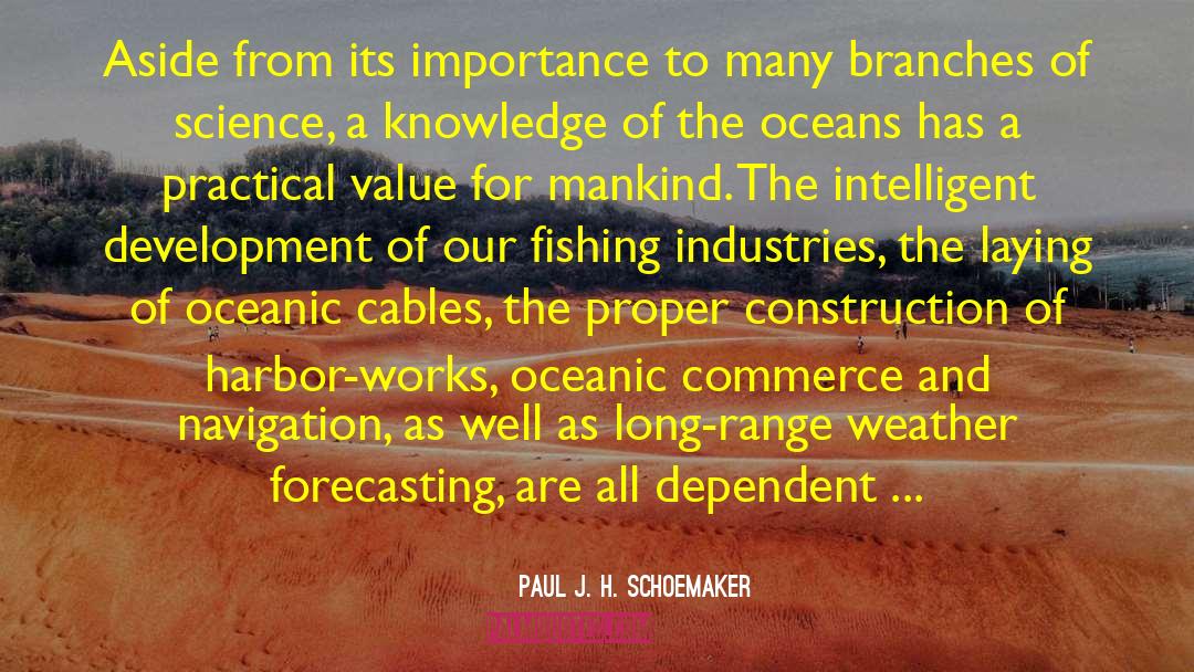 Cribbing Construction quotes by Paul J. H. Schoemaker