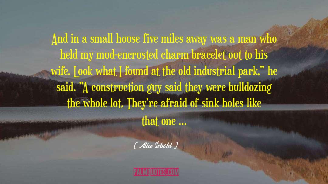 Cribbing Construction quotes by Alice Sebold