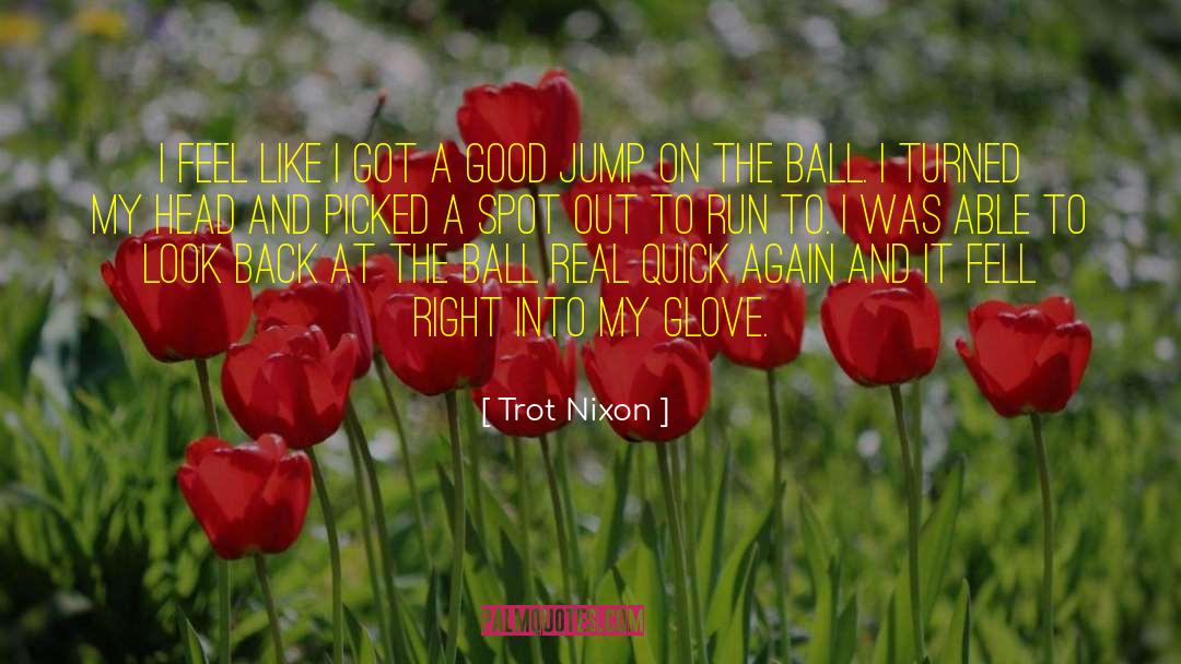 Cricket Ball quotes by Trot Nixon