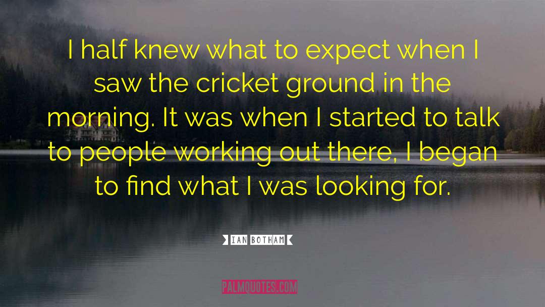 Cricket Bouncer quotes by Ian Botham