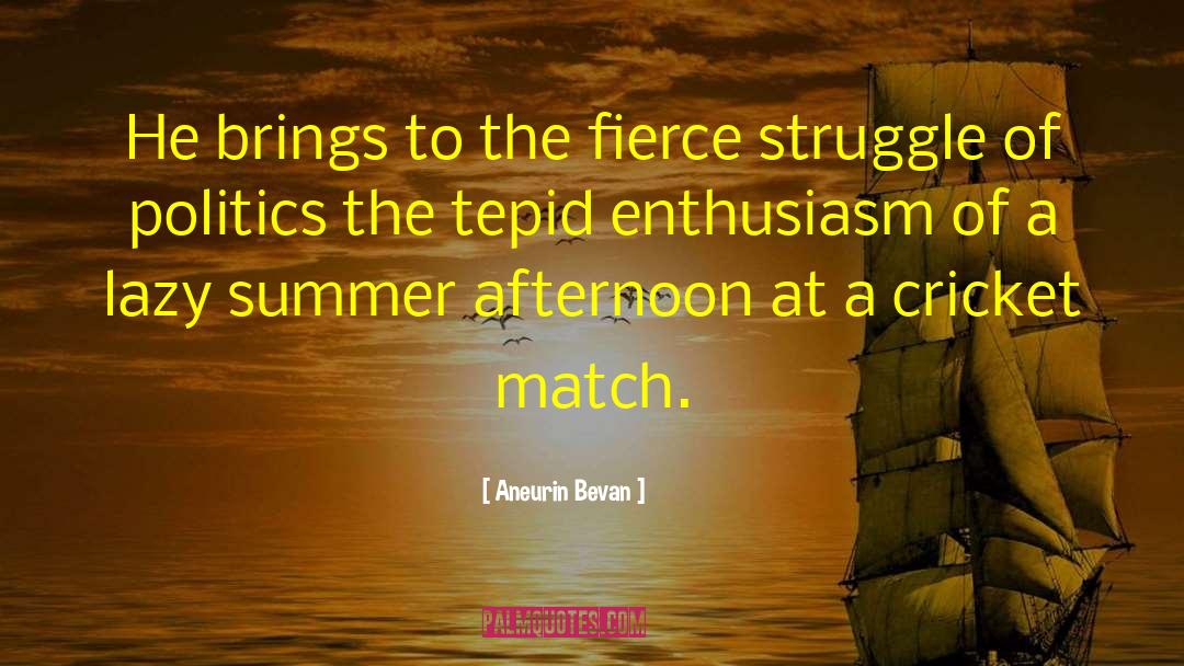 Cricket Bouncer quotes by Aneurin Bevan