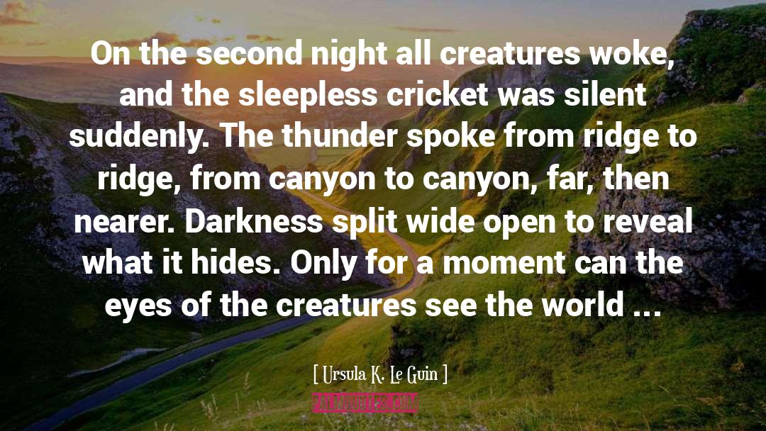 Cricket Bouncer quotes by Ursula K. Le Guin
