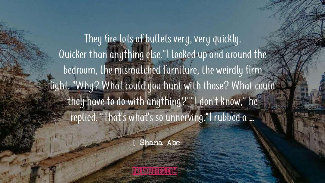 Cricket Hunt quotes by Shana Abe