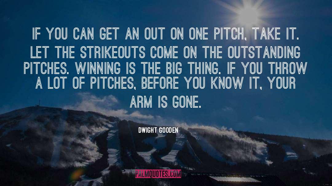 Cricket Pitches quotes by Dwight Gooden