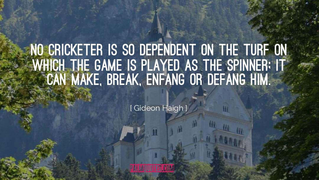 Cricket Pitches quotes by Gideon Haigh
