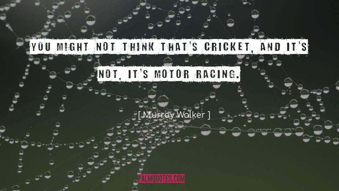 Cricket Score quotes by Murray Walker