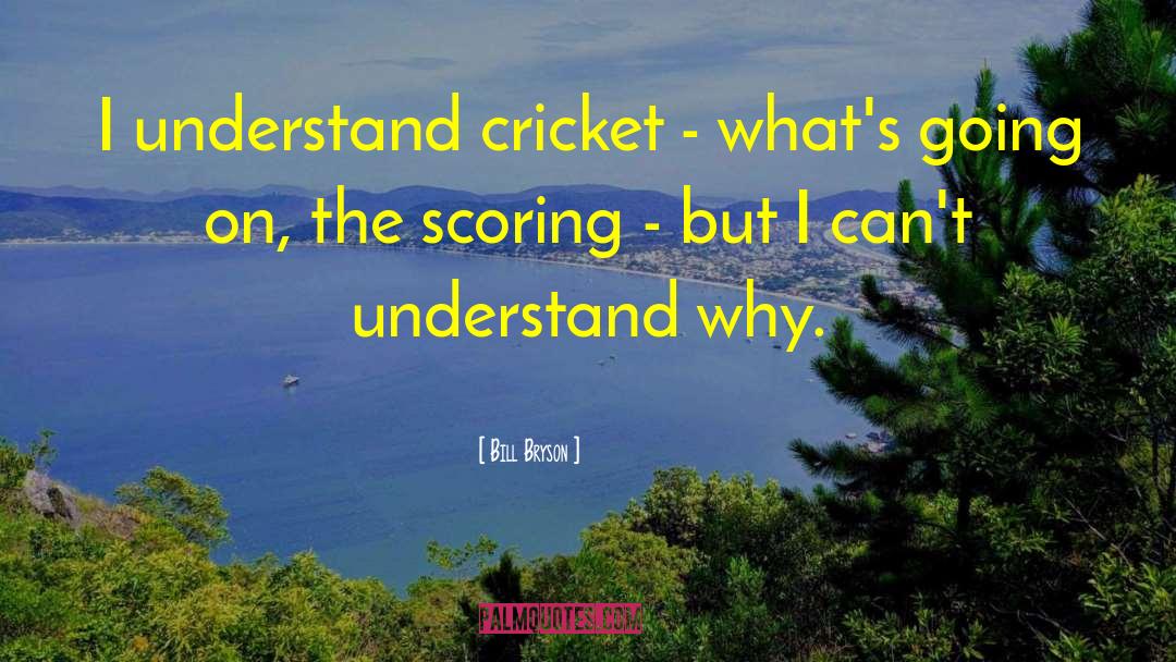 Cricket Strokes quotes by Bill Bryson