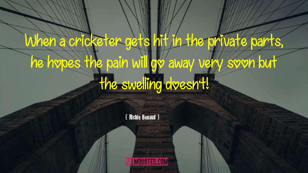 Cricketer quotes by Richie Benaud