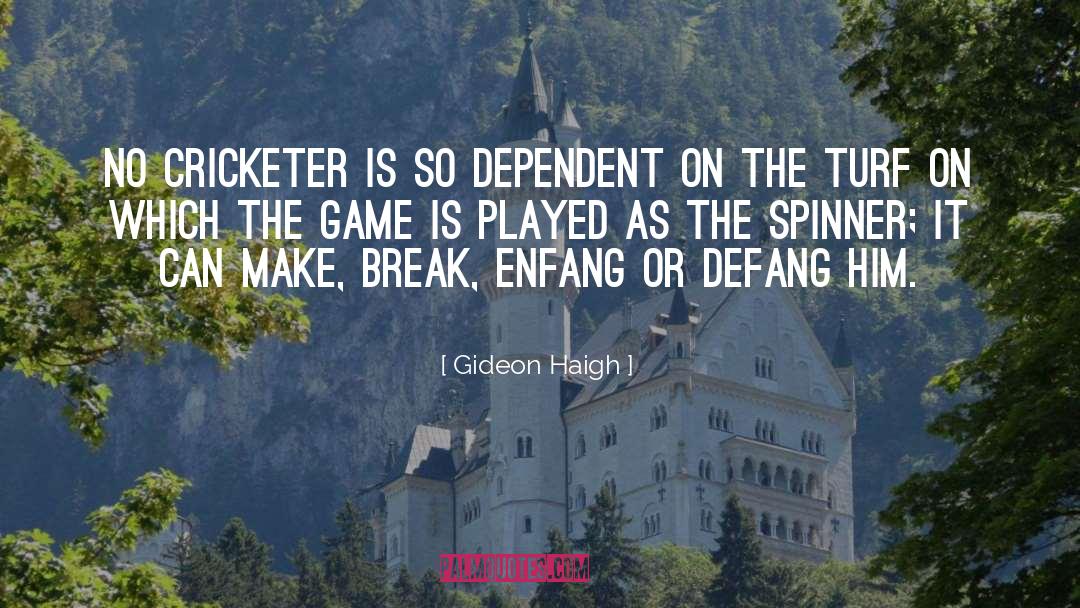 Cricketer quotes by Gideon Haigh