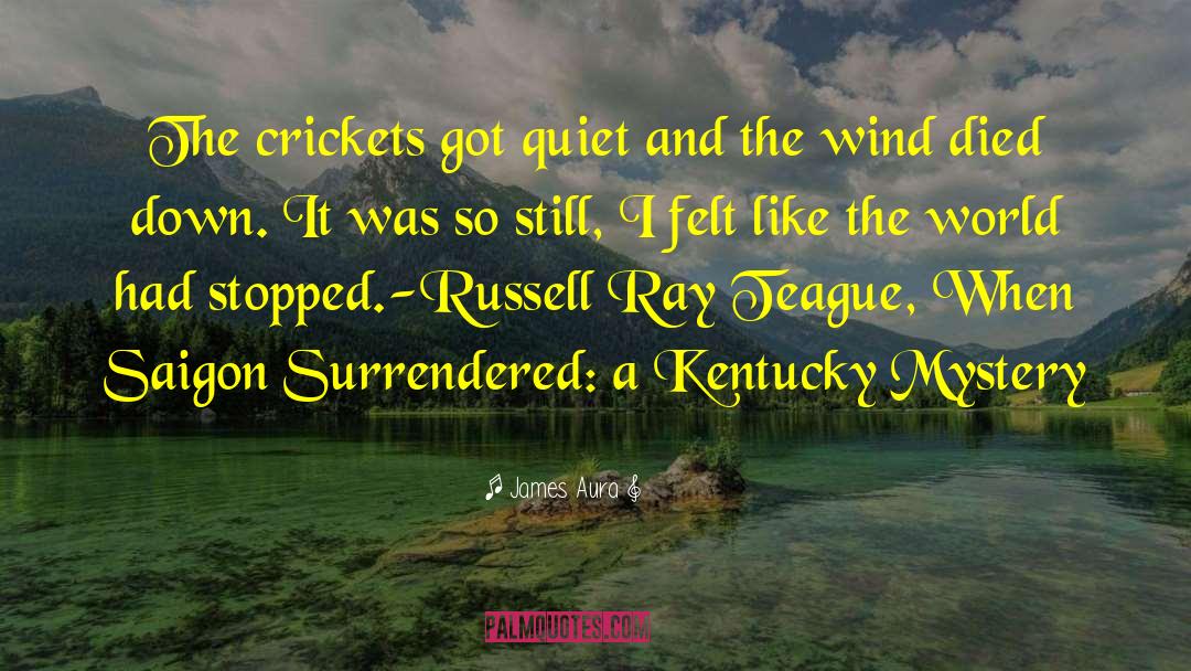 Crickets quotes by James Aura