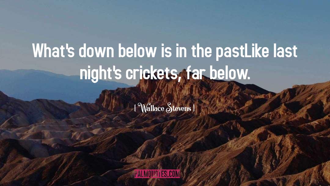 Crickets quotes by Wallace Stevens