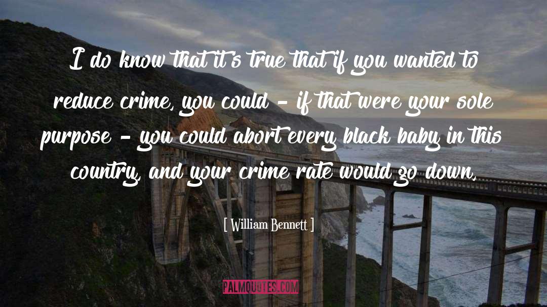 Crime Rate quotes by William Bennett