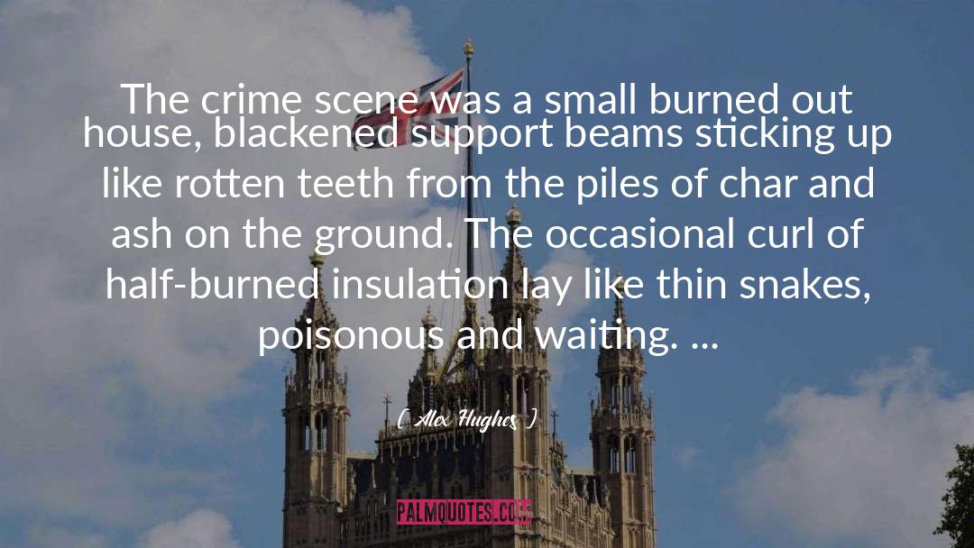 Crime Scene quotes by Alex Hughes