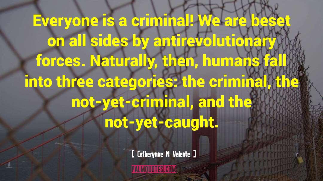 Criminal Behaviour quotes by Catherynne M Valente