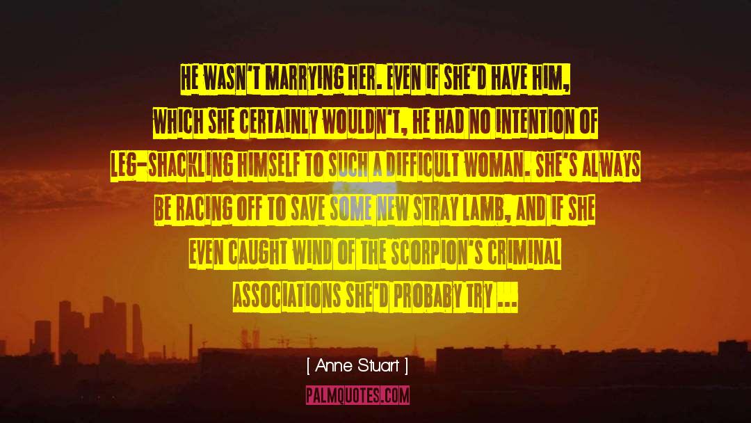 Criminal Investigation quotes by Anne Stuart