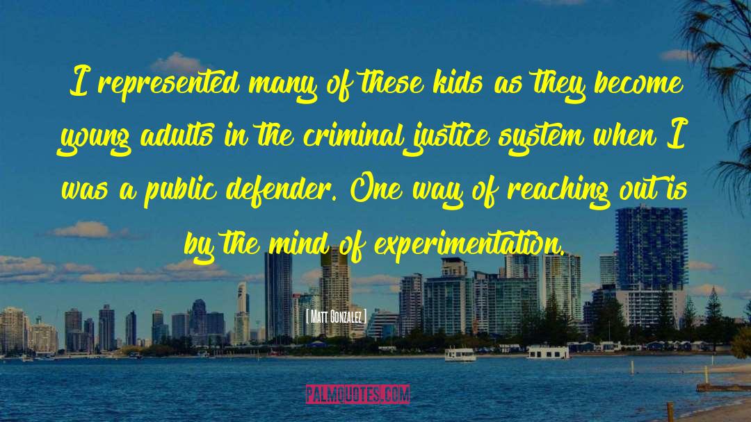 Criminal Justice System quotes by Matt Gonzalez