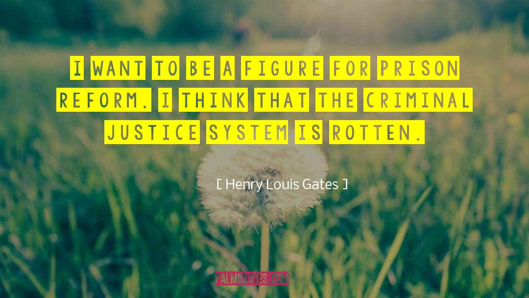 Criminal Justice System quotes by Henry Louis Gates