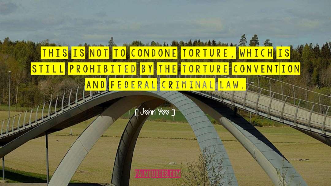 Criminal Law quotes by John Yoo