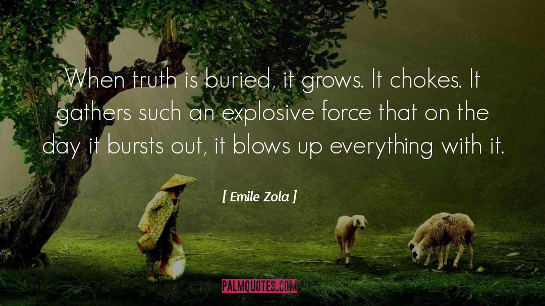 Criminal Mind quotes by Emile Zola