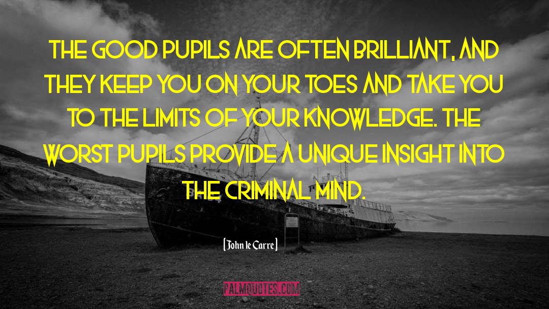 Criminal Mind quotes by John Le Carre