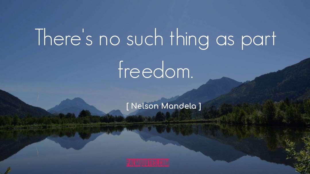 Criminal Mind quotes by Nelson Mandela