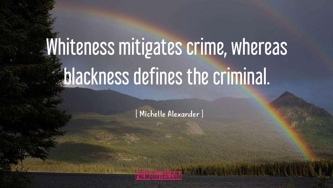 Criminal Profiler quotes by Michelle Alexander