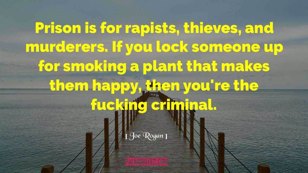 Criminalization quotes by Joe Rogan