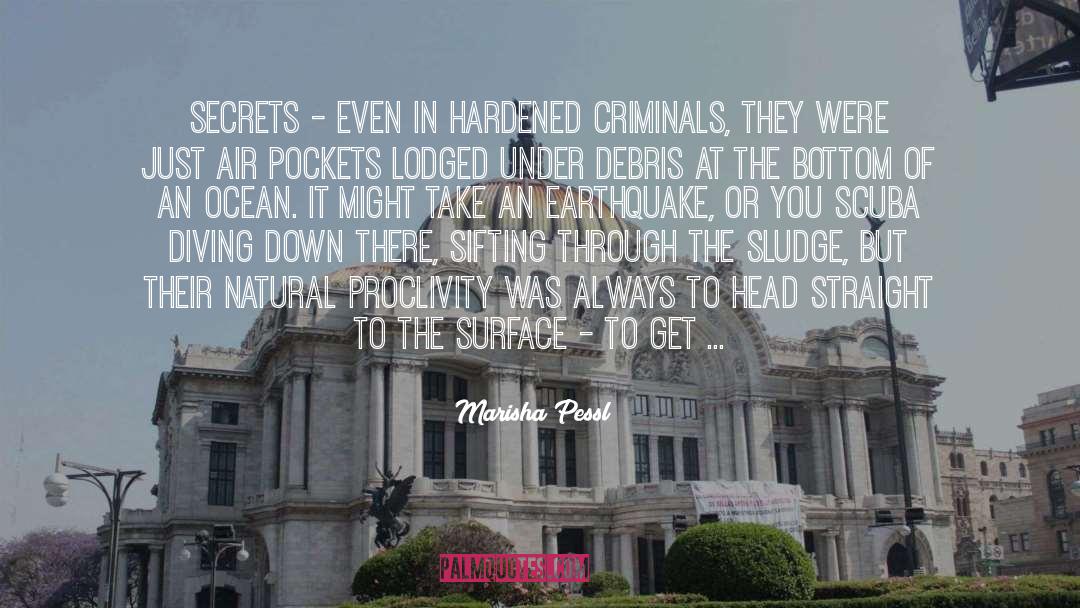 Criminals quotes by Marisha Pessl