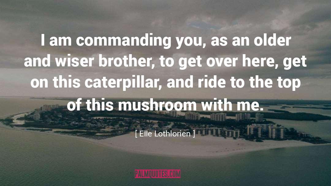 Criminis Mushroom quotes by Elle Lothlorien