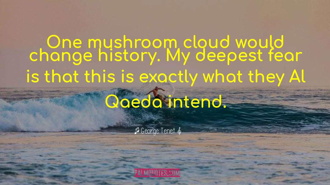 Criminis Mushroom quotes by George Tenet