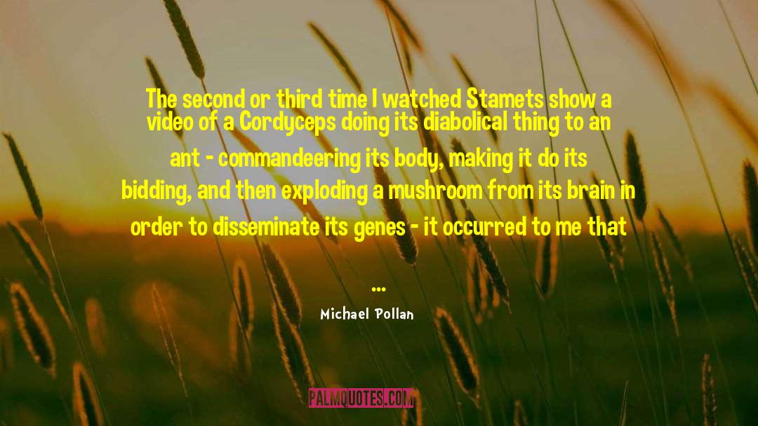 Criminis Mushroom quotes by Michael Pollan