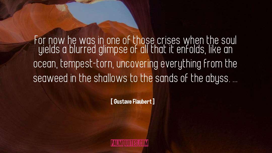 Crises quotes by Gustave Flaubert