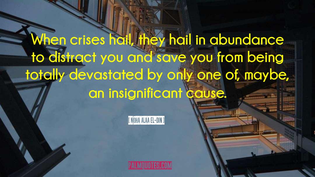 Crises quotes by Noha Alaa El-Din