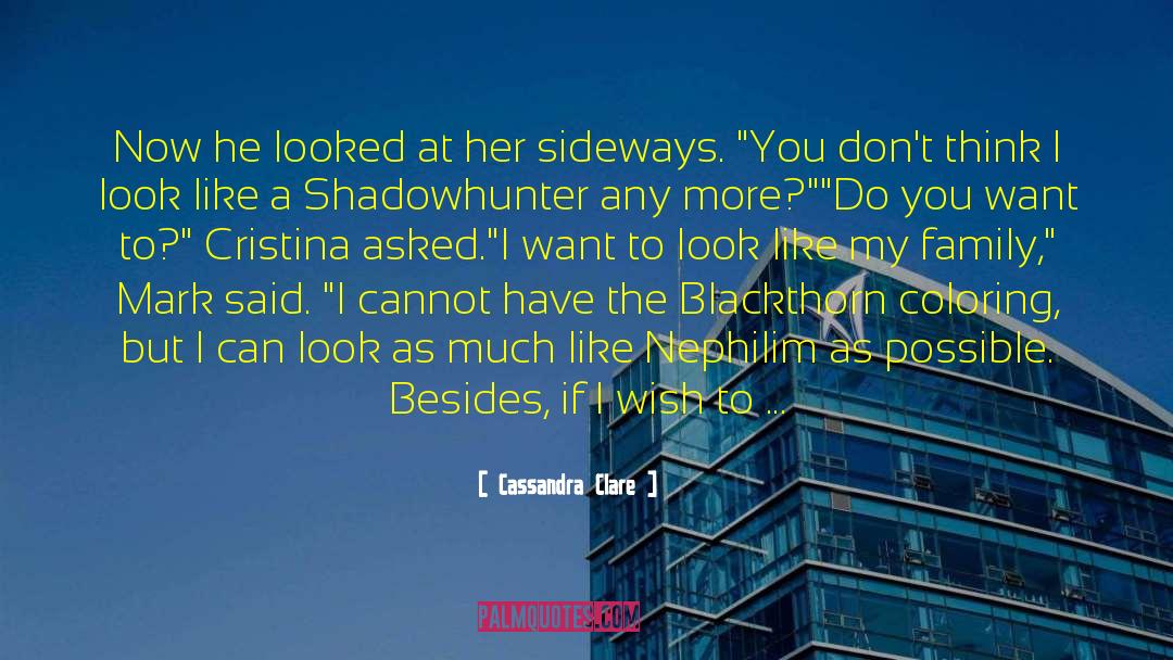 Cristina Marrero quotes by Cassandra Clare