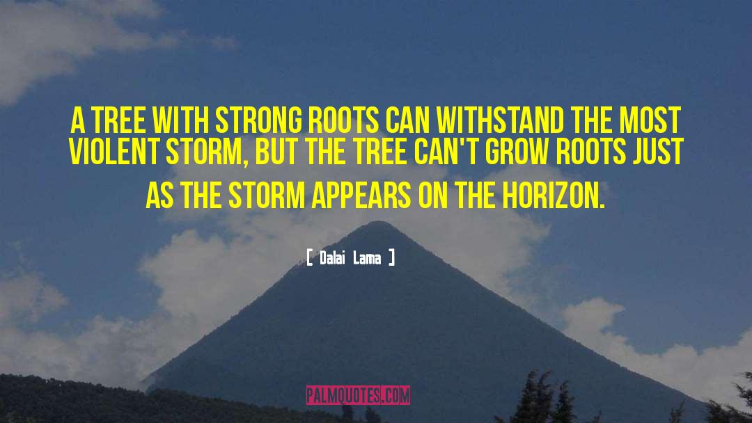 Cristobal Storm quotes by Dalai Lama