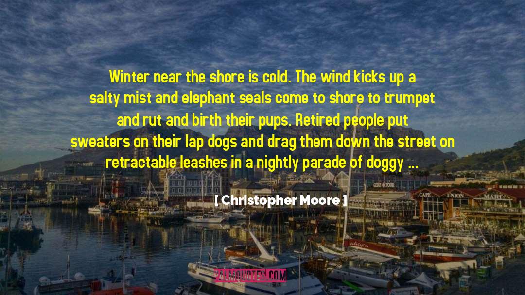 Cristobal Storm quotes by Christopher Moore