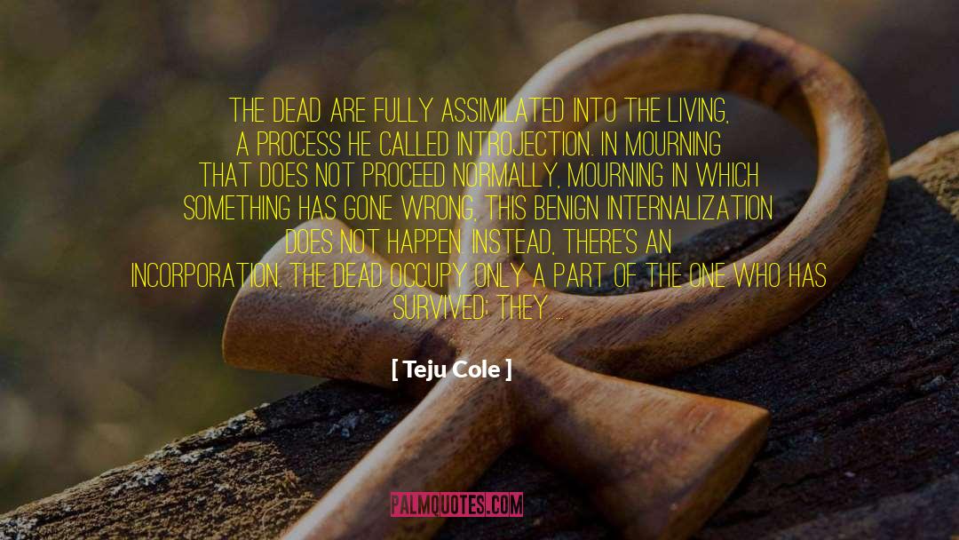 Criston Cole quotes by Teju Cole