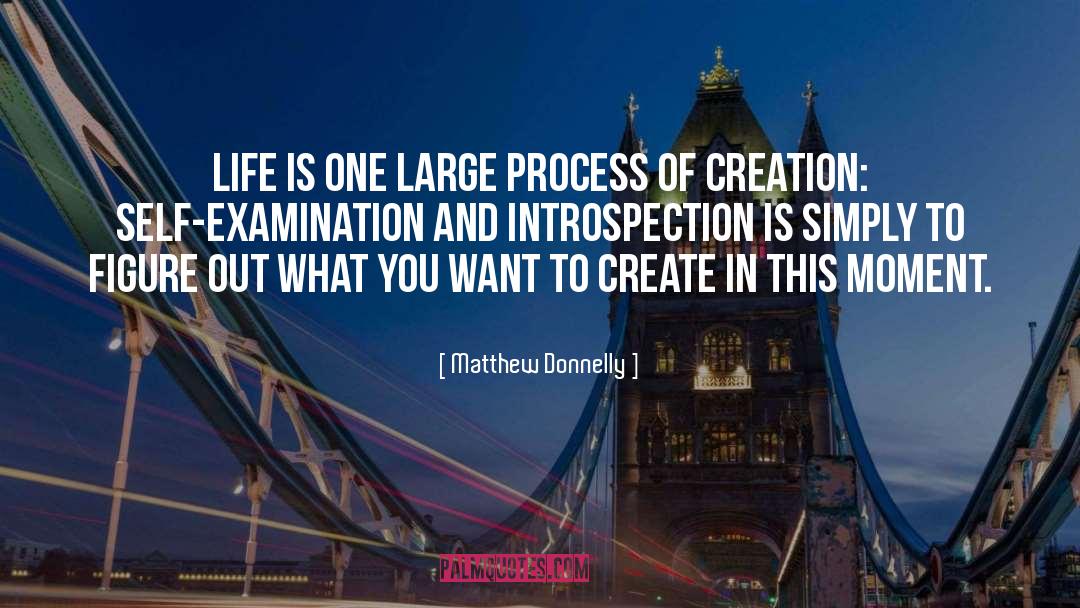 Critical Examination quotes by Matthew Donnelly