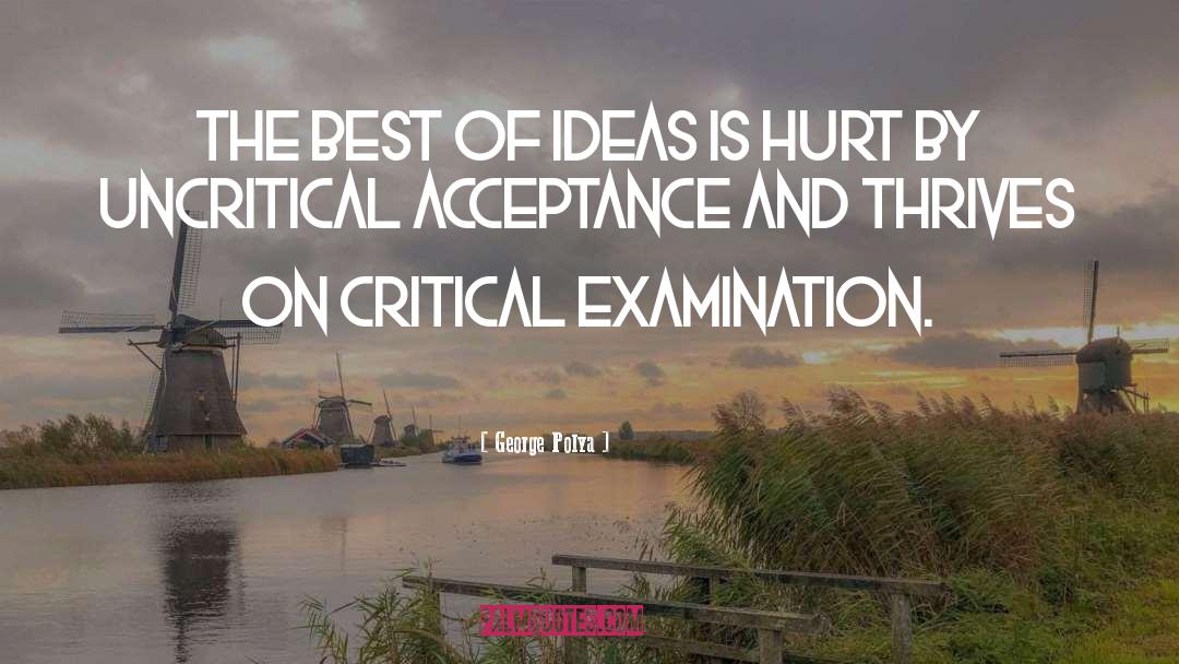 Critical Examination quotes by George Polya