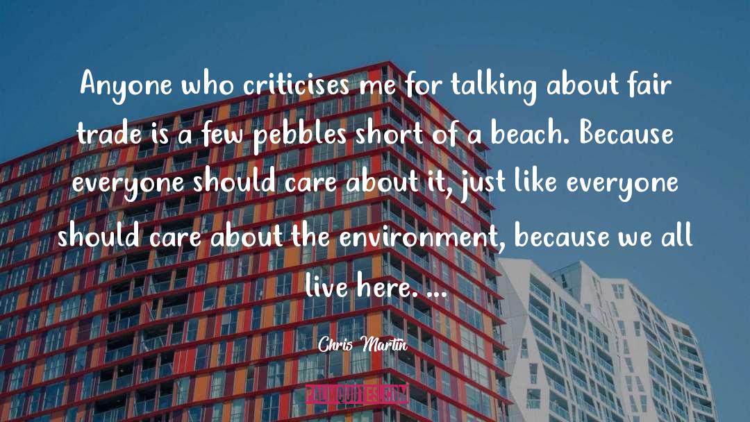Criticise quotes by Chris Martin