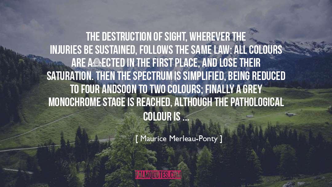 Criticism Of Substance quotes by Maurice Merleau-Ponty