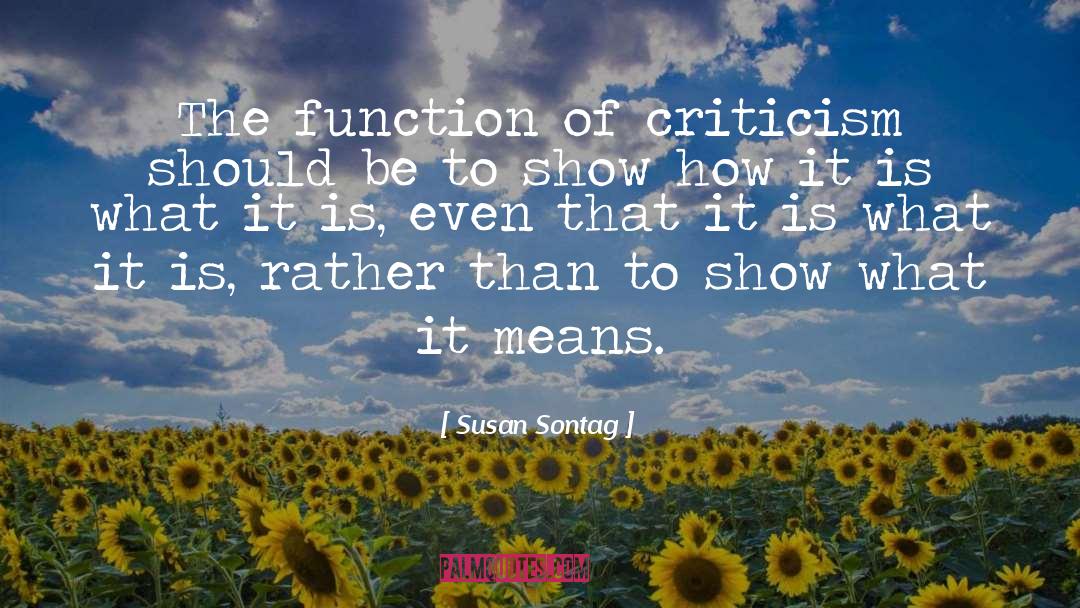 Criticism quotes by Susan Sontag