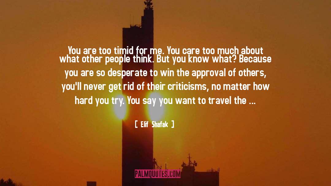 Criticisms quotes by Elif Shafak