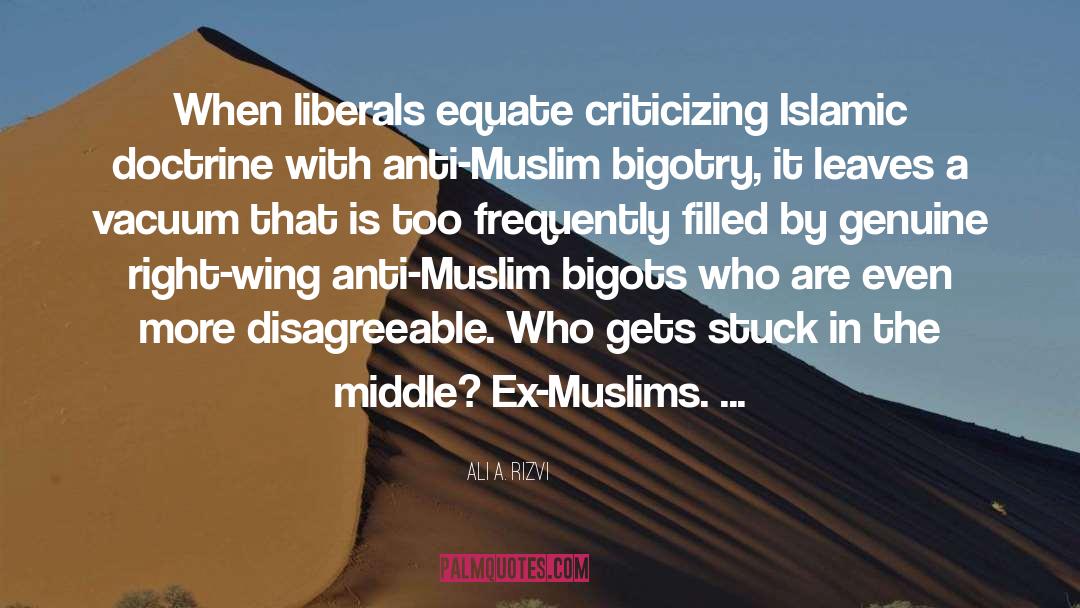 Criticizing quotes by Ali A. Rizvi